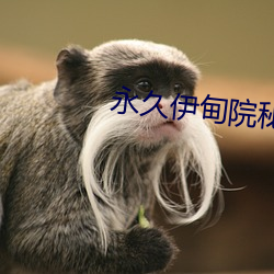 永(yǒng)久伊甸(diān)院(yuàn)秘(mì)密通道