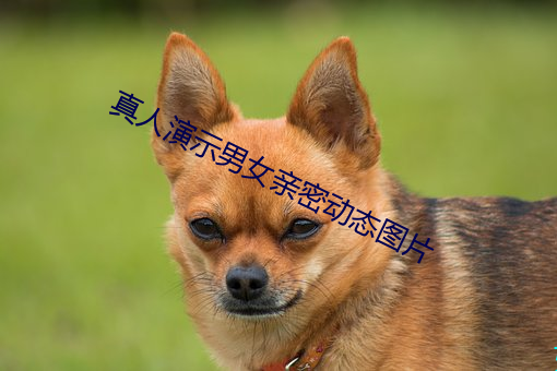 真人演示男(nán)女亲密动态图(tú)片(piàn)