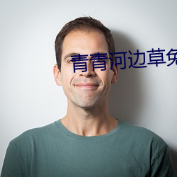 青青河邊草免費觀看視頻免