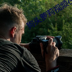 狗头萝莉视频在线