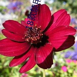 18款(kuǎn)禁(jìn)用游戏(xì)网站入口免费