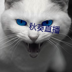 秋葵直播