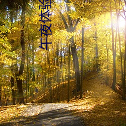 午夜体验试看120秒社区里疯传