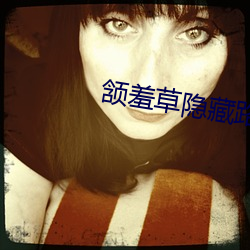 颔羞草隐藏路口