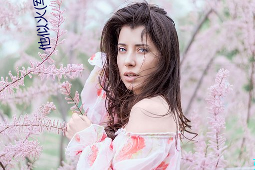 他(tā)似火(军(jūn)婚高干婚恋(liàn))全文免费阅读