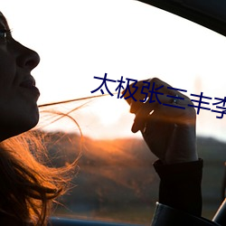 太极张三丰李连杰电影免费