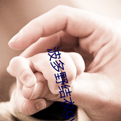 波多野结衣gvg厨房系列