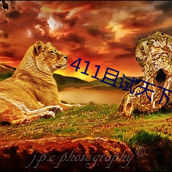 411且试天下电视剧免费观