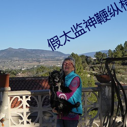 假太监神(shén)鞭纵(zòng)横后宫
