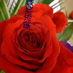 果冻传(chuán)媒