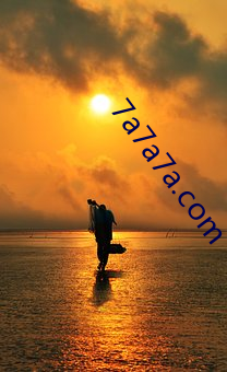 7a7a7a.com