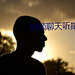 视频(頻)聊天听(聽)指挥软件(件)免(免)费