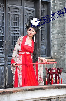 人之怒杰森斯坦(tǎn)森(sēn)在(zài)线观(guān)看