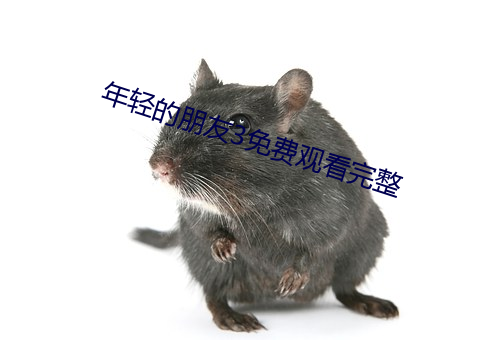 年轻的朋友3免费观看完整