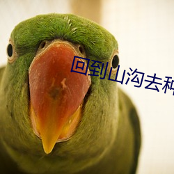 回到(dào)山沟去种田(tián)