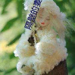 隔壁的妻子