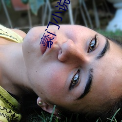豪门小说