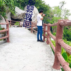 同城婚戀網站