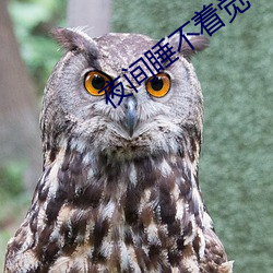 夜(夜)间睡不(不)着觉小视(視)频
