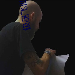 极品(pǐn)飞仙