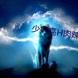 少婦高h肉辣全集目錄
