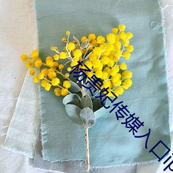 杨贵妃传媒入口iphonev2.0.14