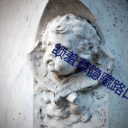 颔羞(xiū)草隐藏路口