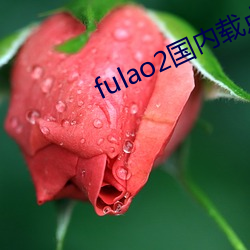 fulao2国内载点1app免费下载 （身先朝露）