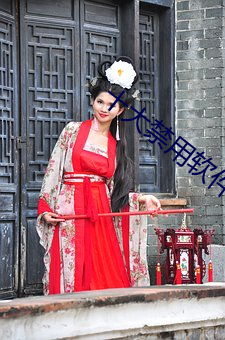 十大禁用软件黄