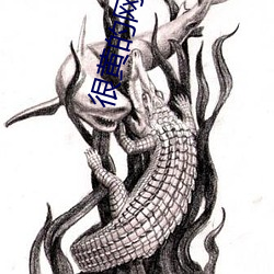 很(很)黄的网站