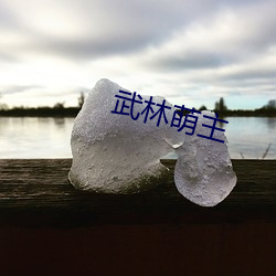 武林萌主