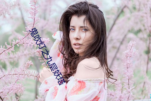 鬼吹燈之九層妖塔
