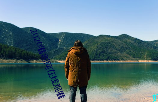 2020看剧(劇)网在(在)线观看