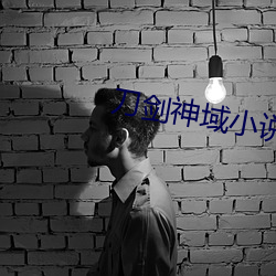 刀剑神域小说