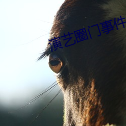 演艺圈门事件