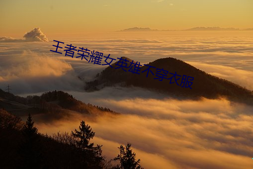 王者榮耀女英雄不穿衣服