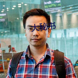 大秘书
