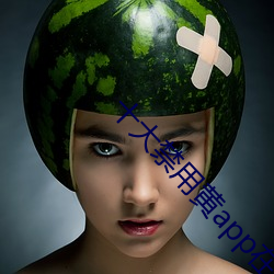 十大禁(jìn)用(yòng)黄app在(zài)线看