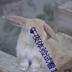 午夜体验试看120秒社区里疯传