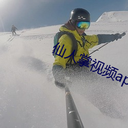 仙人掌视频app下载载 （安分守己）