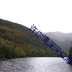 许(許)你情(情)深深似海(海)