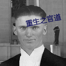 重生之官道