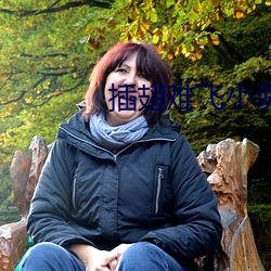 插翅難飛小說