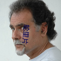 輪裏片