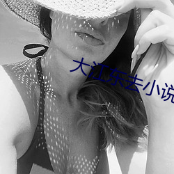 大(大)江东去小说(說)