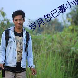歲月忽已暮小說