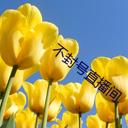 不封号(hào)直播(bō)间
