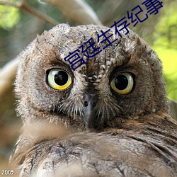 宮廷生存紀事