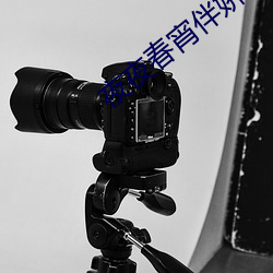 夜夜春宵伴嬌熄h共妻h