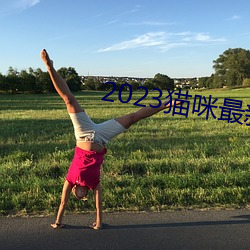 2023貓咪最新永久地域